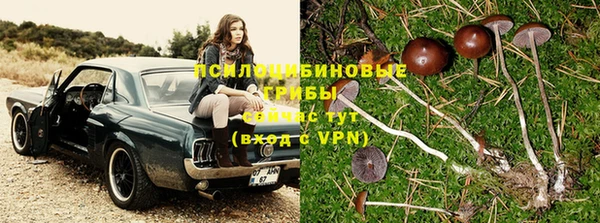 2c-b Протвино
