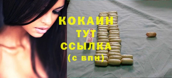 спайс Рославль