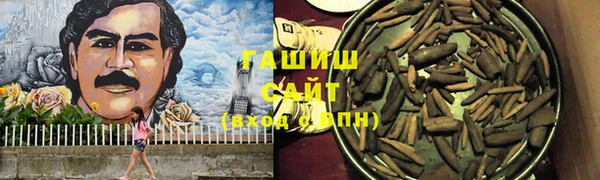 индика Ростов