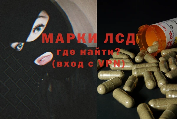 спайс Рославль