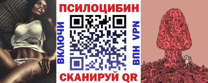 Купить закладки Приозерск Псилоцибиновые грибы ЛСД