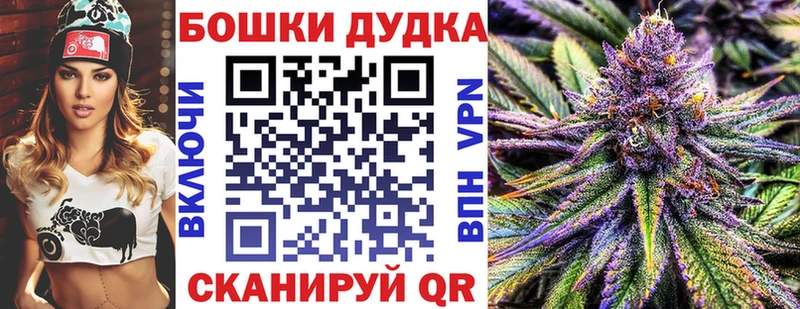 Купить  Приозерск  Шишки марихуана план 